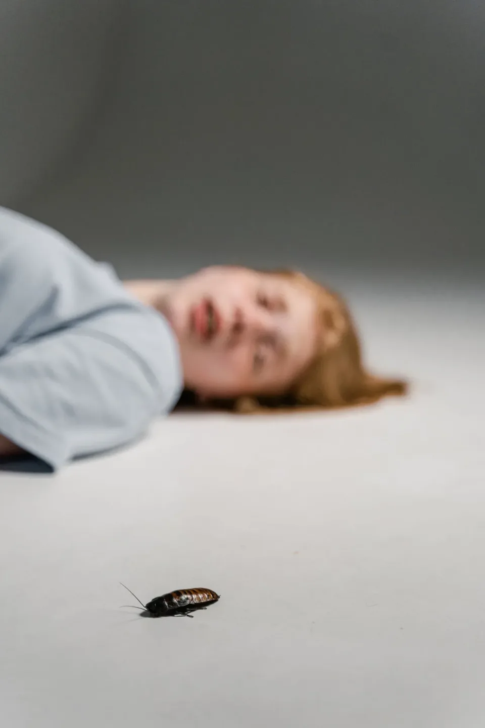 Cockroach — Pest Control Cockroach — Pest Control — Cockroach, Person, Floor, Pest Control, Pest Control