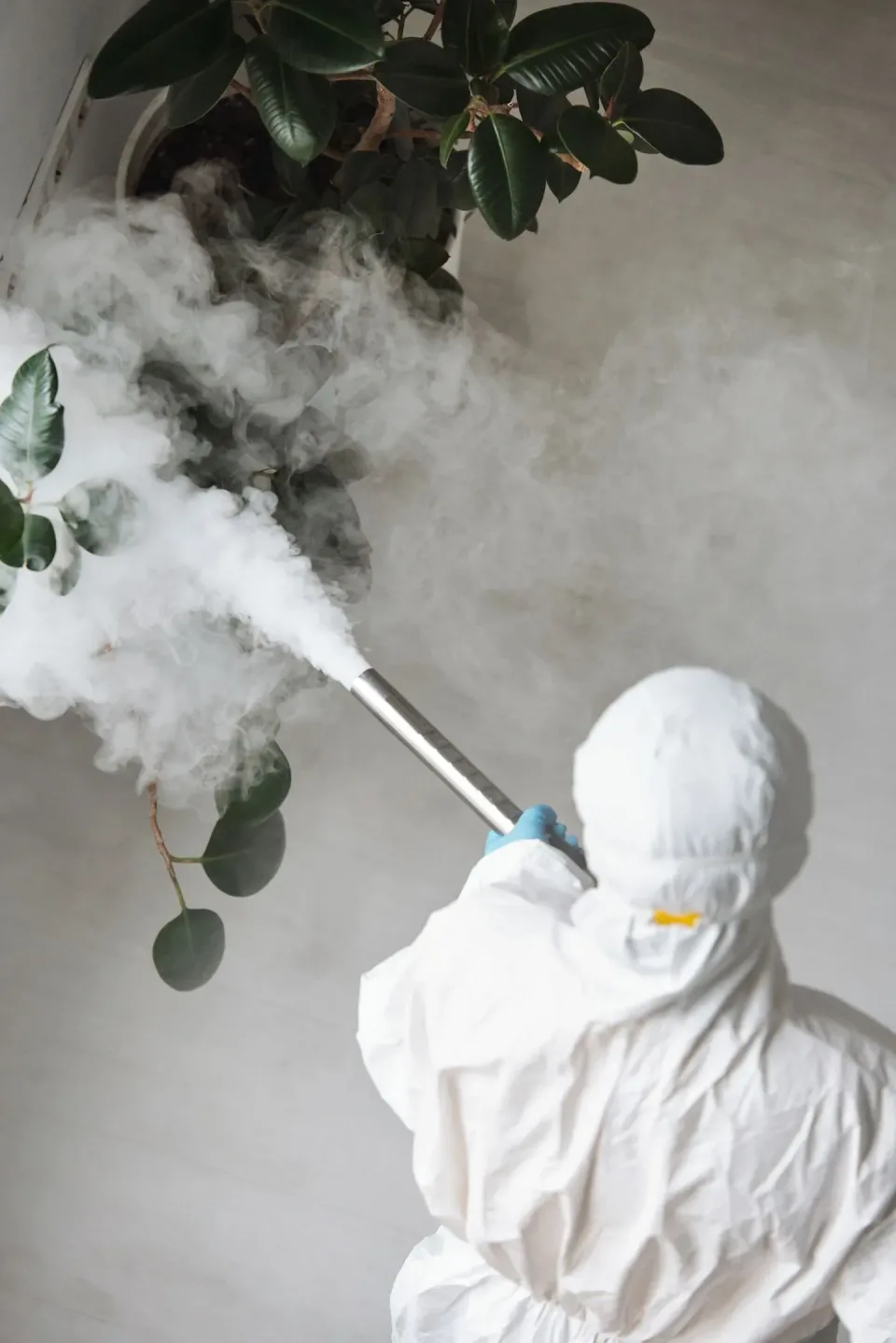 Pest Control Technician — Indoor Service — Pest Control Technician, Protective Hazmat Suit, Fogging Machine, Pest Control, P…